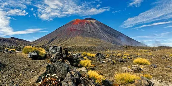 cruise from auckland to bali