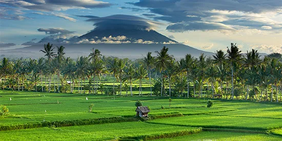 cruises from australia to bali