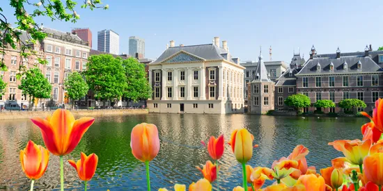 rotterdam cruise terminal to keukenhof gardens