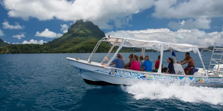 viking cruises french polynesia