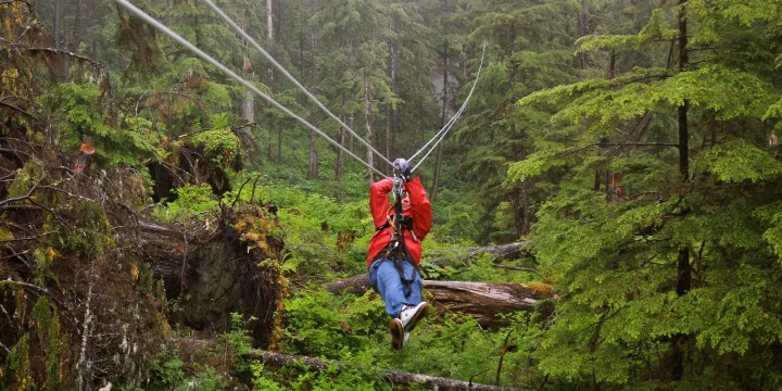 viking alaska cruise shore excursions