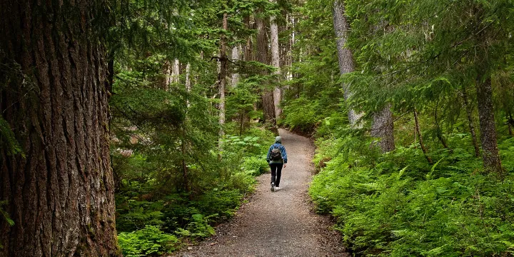 viking cruises alaska inside passage