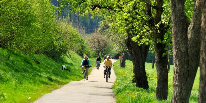 black forest rhine cruise