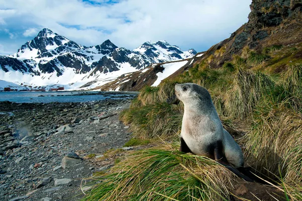 antarctica tour ship