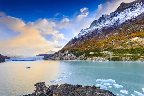 antarctica tour ship