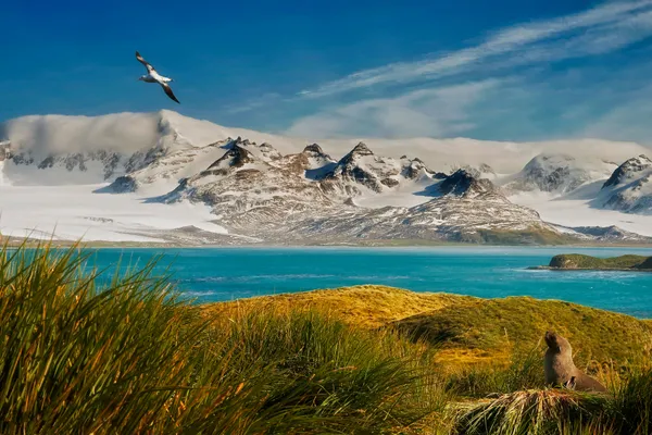 antarctica tour ship