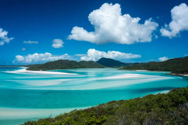 cruise ship from dubai to new zealand