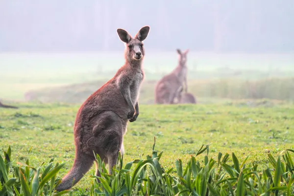 qualmark tourism new zealand