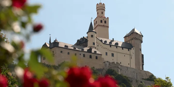 river cruises down rhine