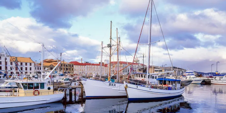 Day 6 Tasmania (Hobart), Australia & New Zealand 2025 Itinerary