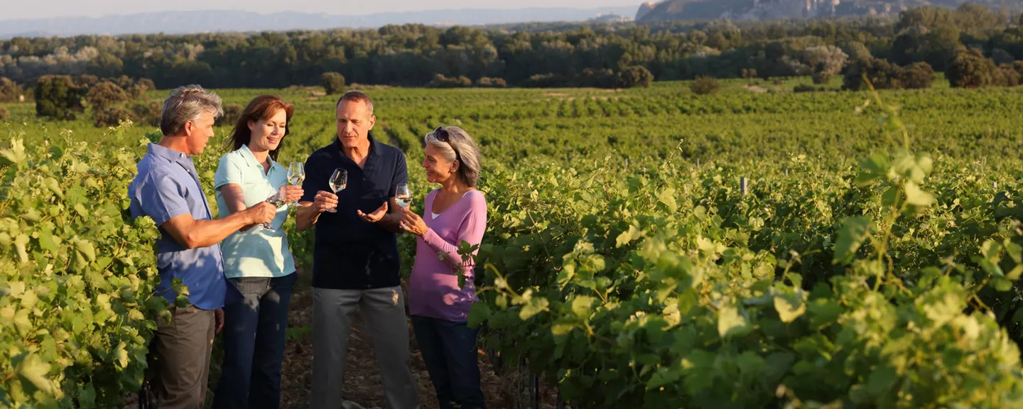Four people in a vineyard drinking wine