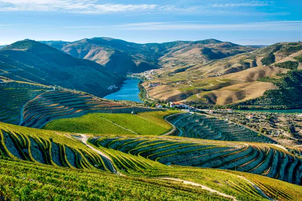 cruise up the douro river