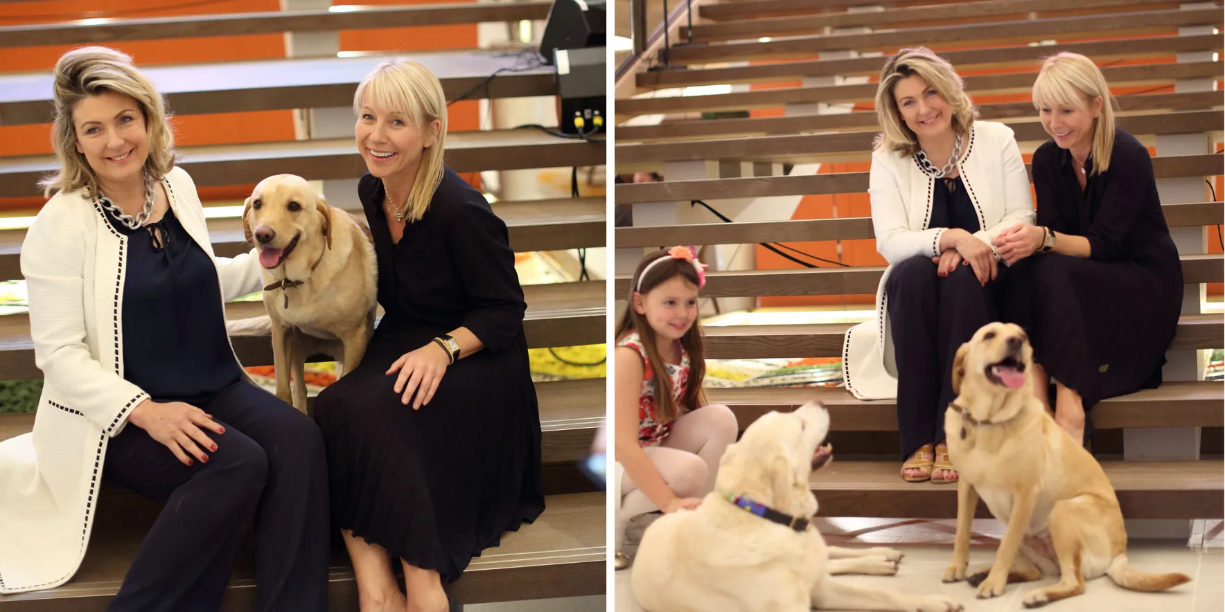 Women with Labrador dogs on stairs