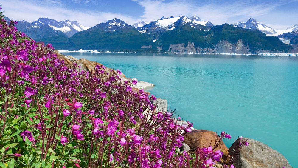 Alaska & the Inside Passage Videos Viking Cruises