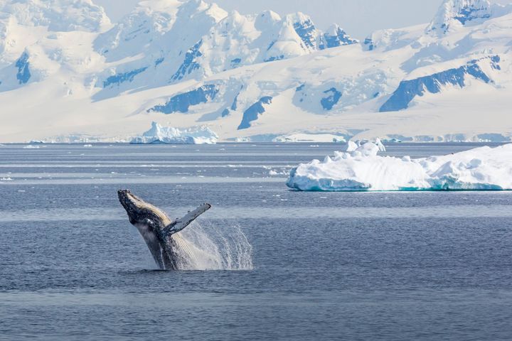 viking cruises ushuaia