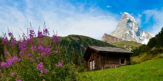Matterhorn log house flowers, Zermatt