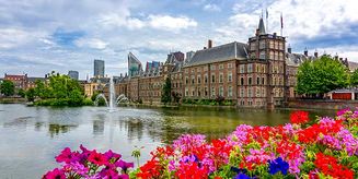 Parliament and flowers, The Hague